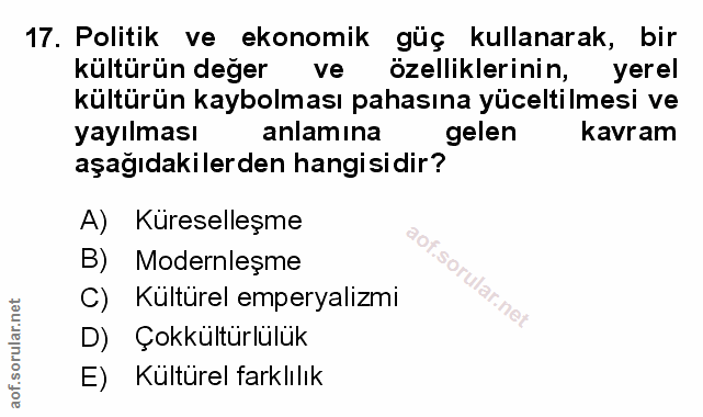 Soru 17