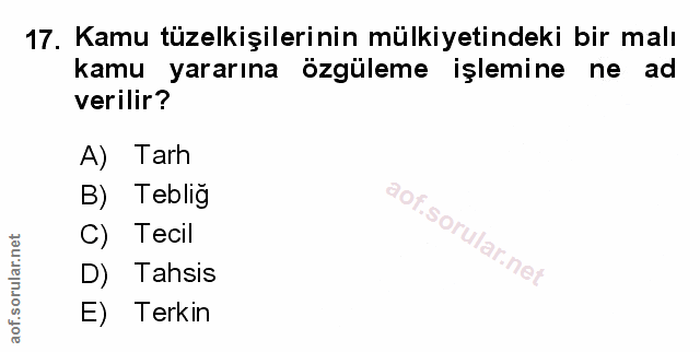Soru 17