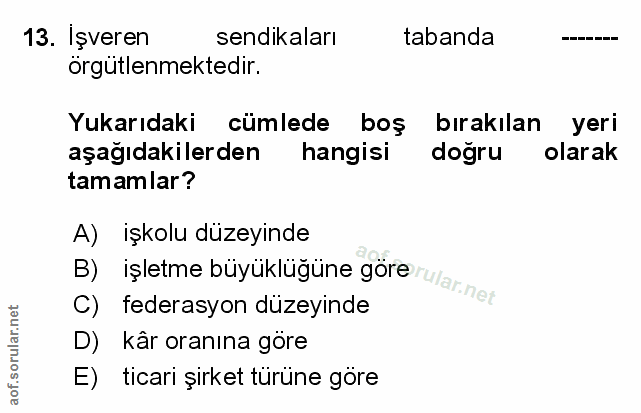Soru 13