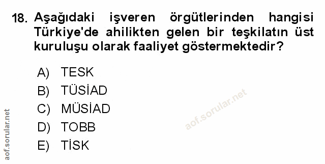 Soru 18