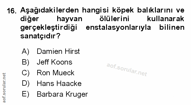 Soru 16