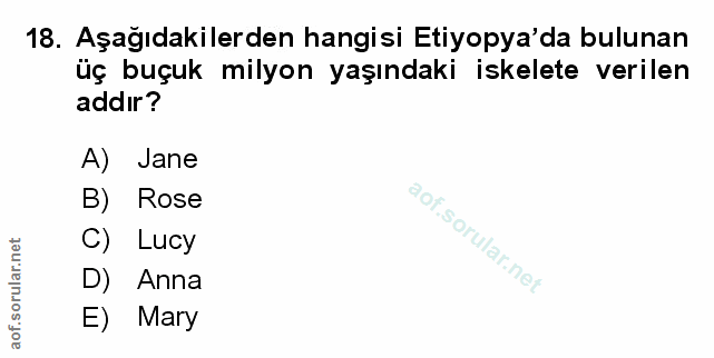 Soru 18