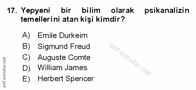 Soru 17