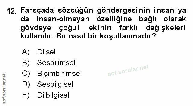 Soru 12