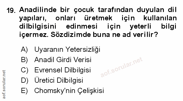 Soru 19