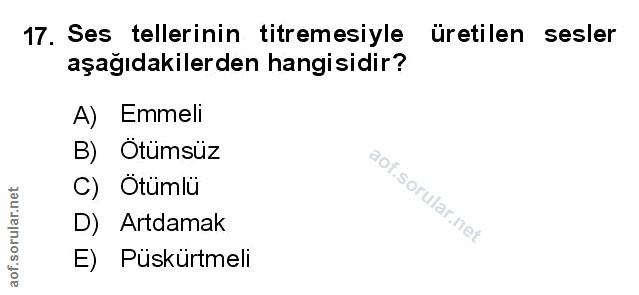 Soru 17