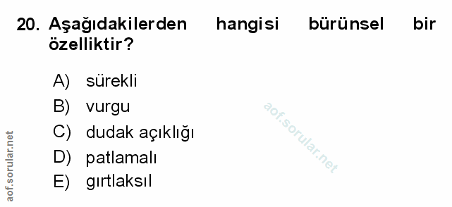 Soru 20