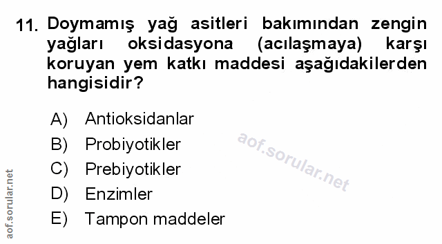 Soru 11