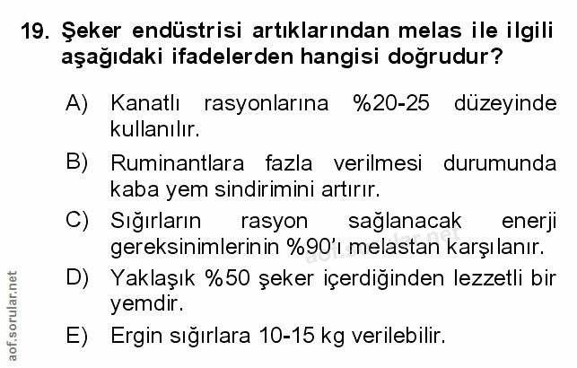 Soru 19