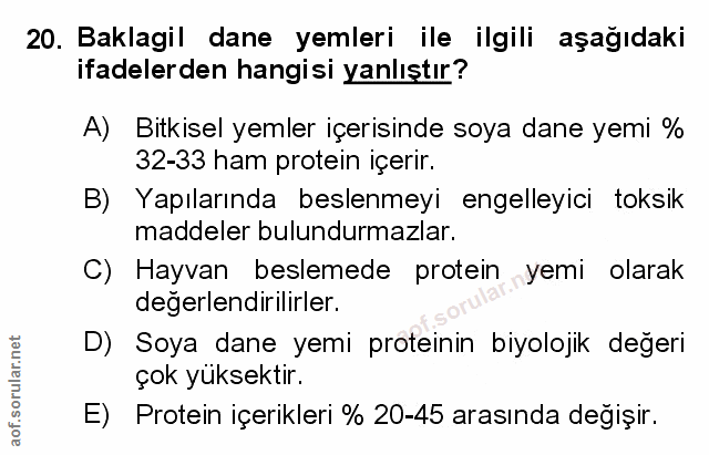 Soru 20