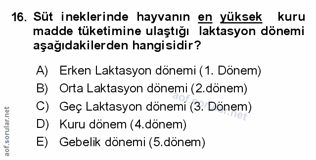 Soru 16