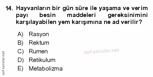Soru 14