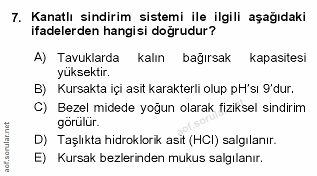 Soru 7