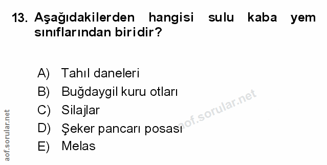 Soru 13