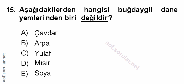 Soru 15