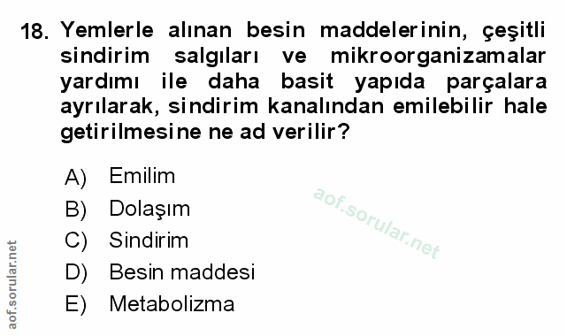 Soru 18