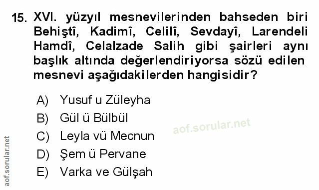 Soru 15