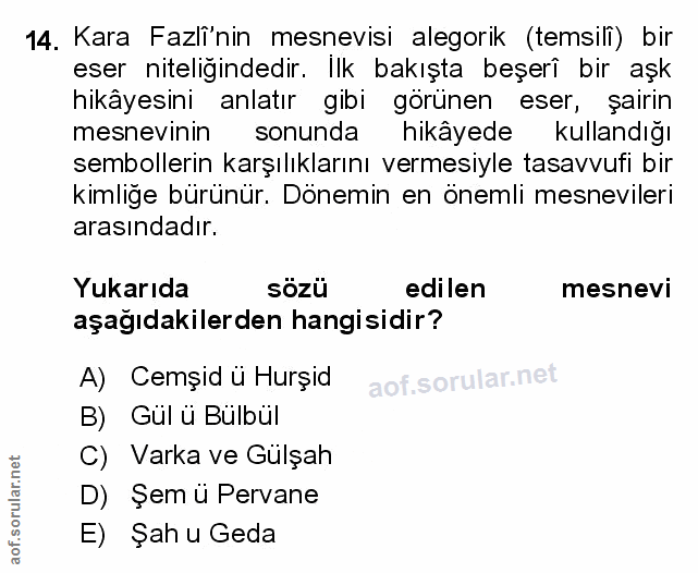 Soru 14