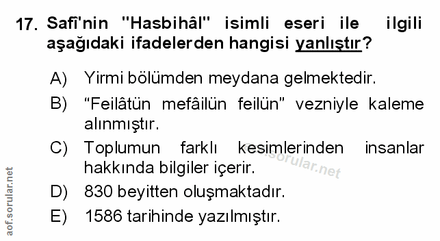 Soru 17