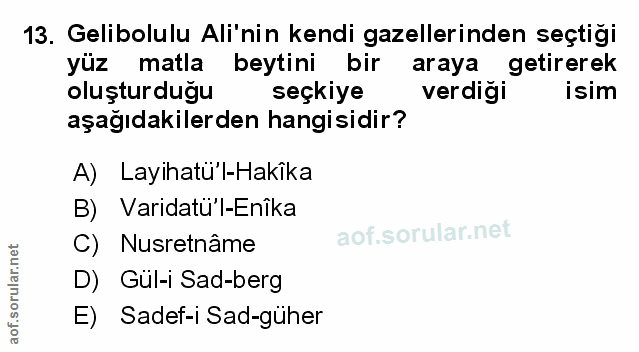 Soru 13