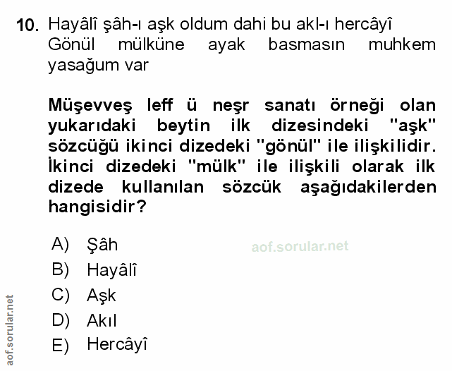 Soru 10