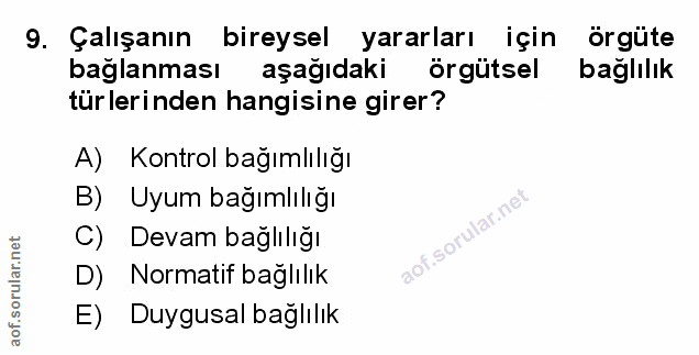 Soru 9