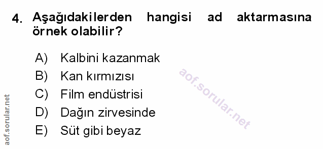 Soru 4