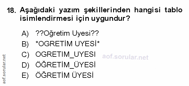 Soru 18