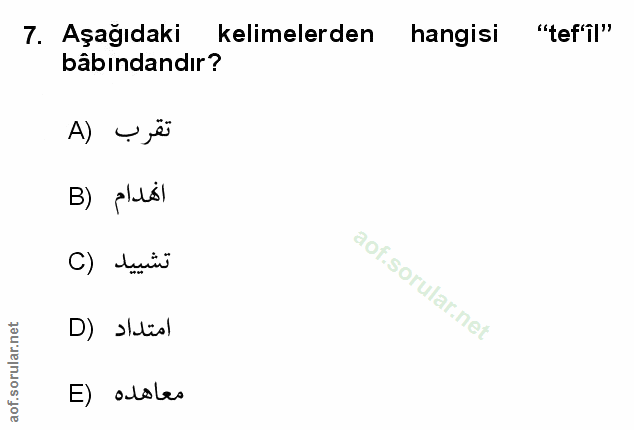 Soru 7
