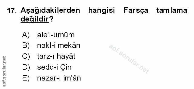 Soru 17