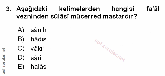 Soru 3