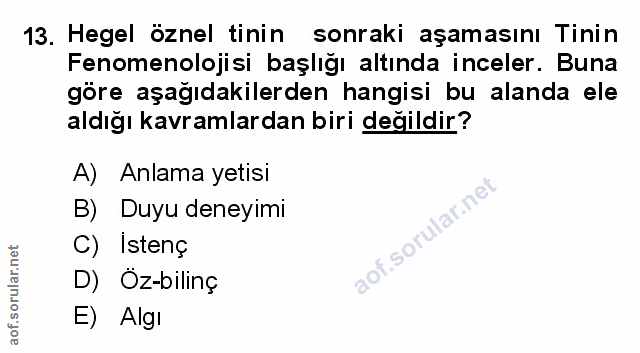 Soru 13