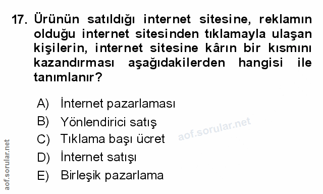 Soru 17