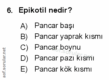 Soru 6