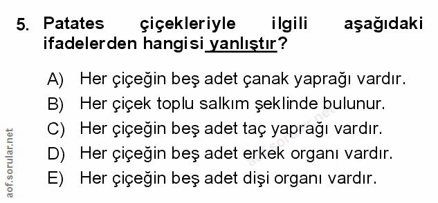 Soru 5
