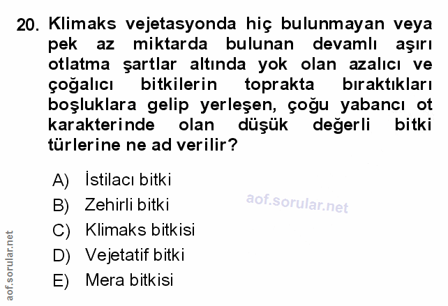 Soru 20