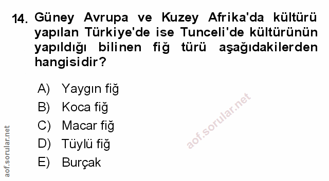 Soru 14