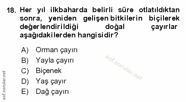 Soru 18