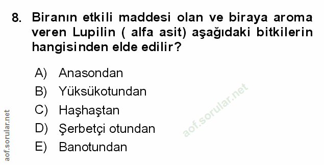 Soru 8