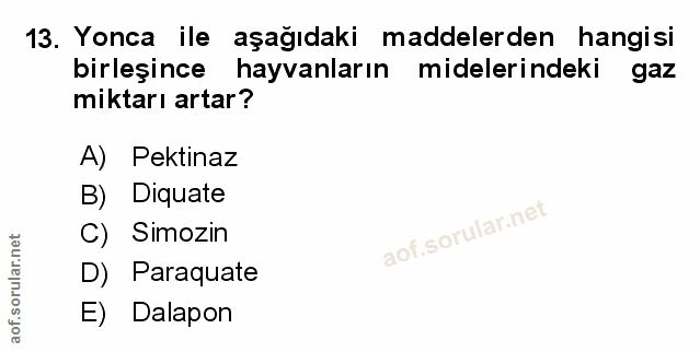 Soru 13