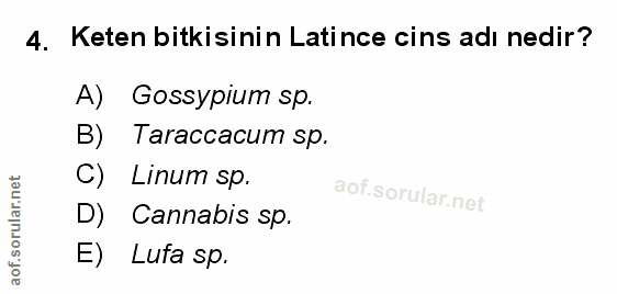 Soru 4