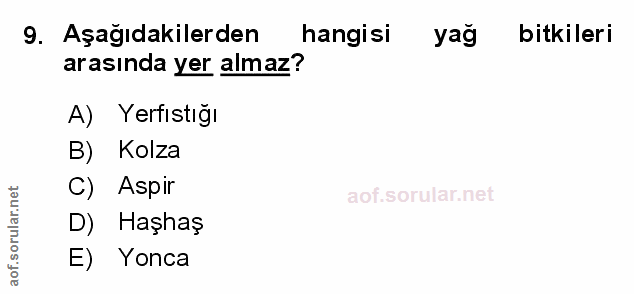 Soru 9