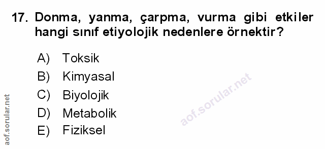 Soru 17