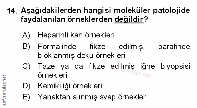 Soru 14
