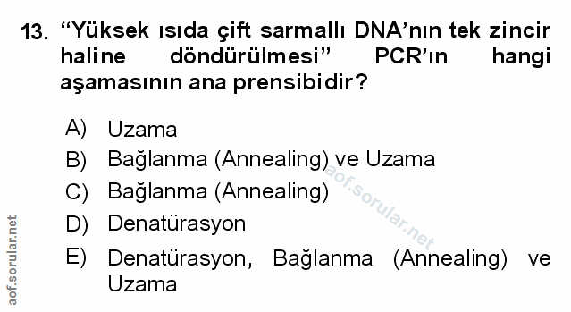 Soru 13