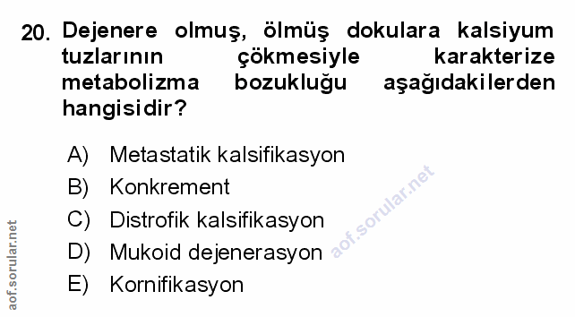 Soru 20