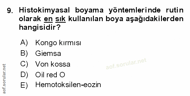 Soru 9