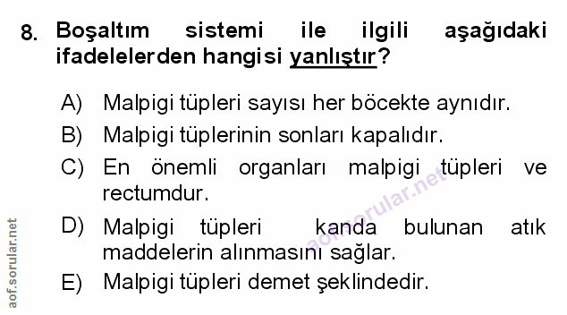 Soru 8