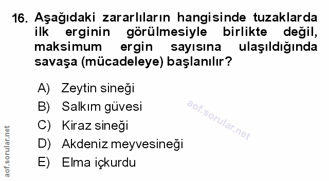 Soru 16
