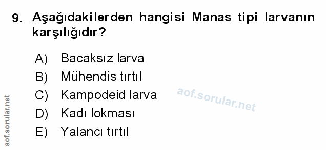 Soru 9